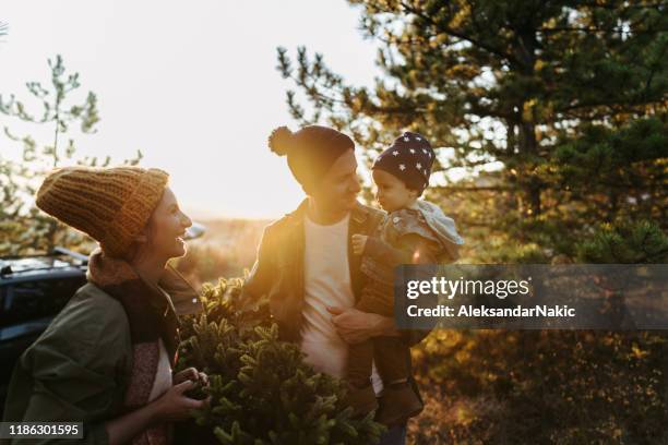 giovane famiglia in una fattoria di alberi di natale - azienda arboricola da legno foto e immagini stock