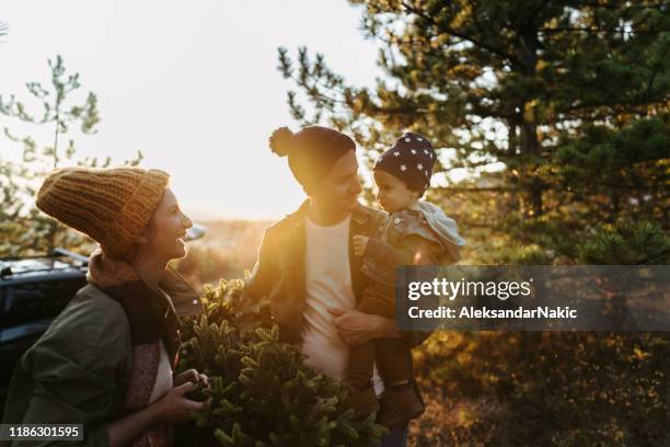 young family on a christmas tree farm - tree farm stock pictures, royalty-free photos & images