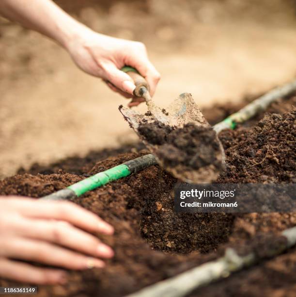 woman digging a hole in the garden with a small spade - trou sol photos et images de collection