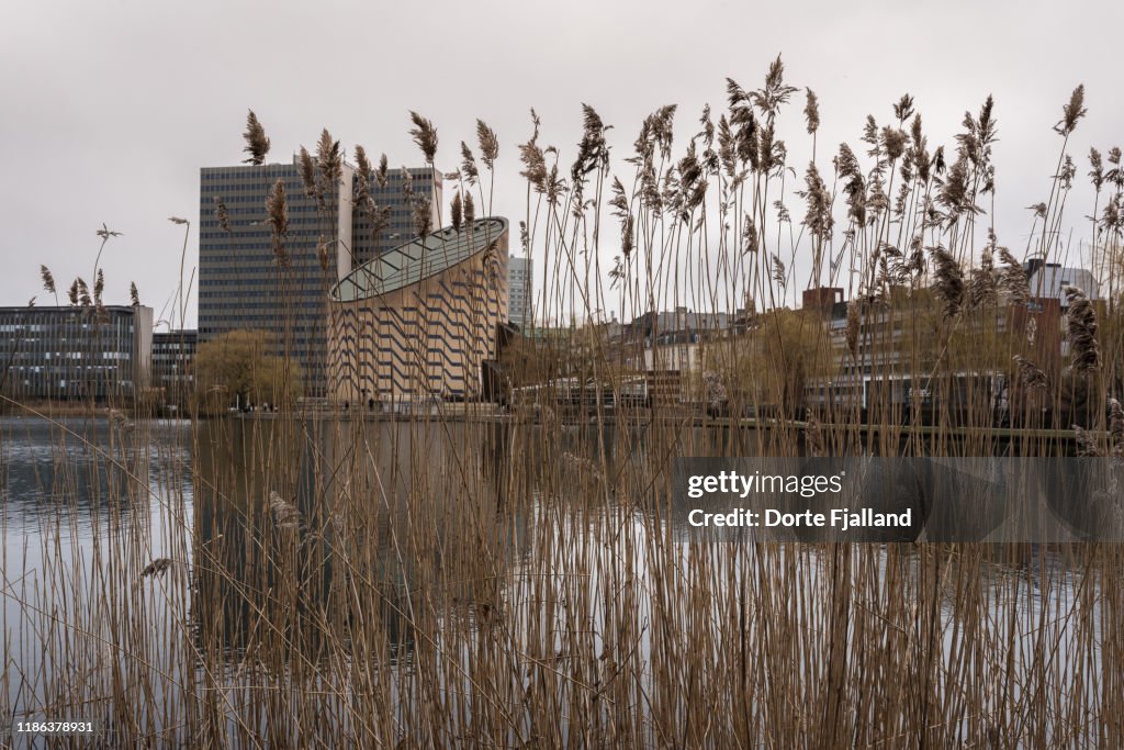 View through reed grass and a lake towards the Tycho Brahe Planetarium and other buildings