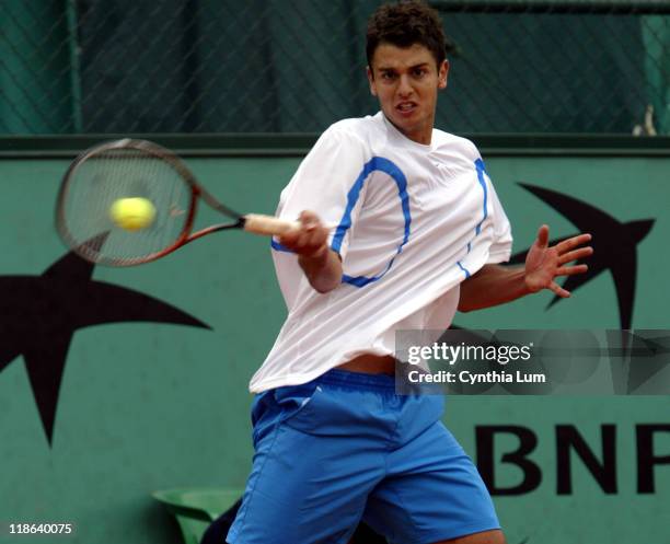 Newcomer Mario Ancic defeated Mariano Zabaleta 6-3, 6-4, 3-6, 6-4 in the second round at the 2004 French Open May 25, 2004.