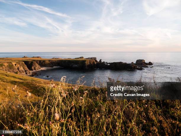 view of small bay with rocky coastline - mendocino stock-fotos und bilder