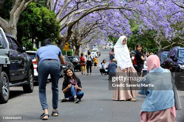 Local and international Tourists flock to photograph with their smart phones on McDougall Street in the Sydney suburb of Kirribilli on November 9th,...