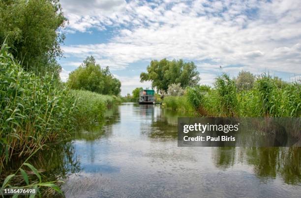 summer landscape in danube delta, romania, europe - beautiful blue danube stock pictures, royalty-free photos & images