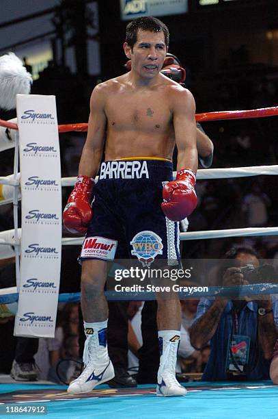 Marco Antonio Barrera Poses For A Portrait In 2002 In New, 52 OFF