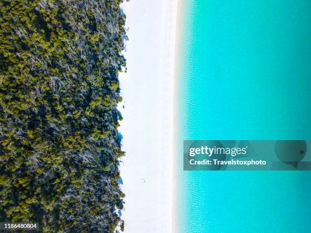 paradisaical lonely island beach with very white sand and clear blue water - drone point of view stock pictures, royalty-free photos & images