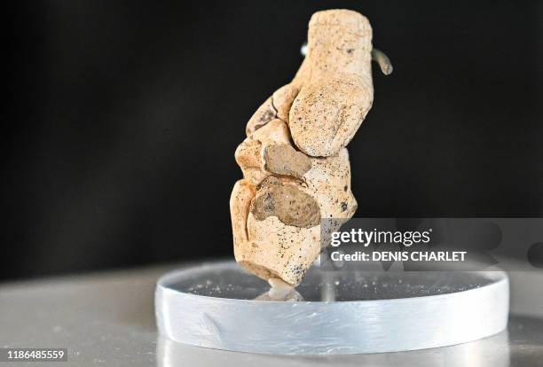This picture taken on December 4, 2019 shows a 4 centimeters high paleolithic statuette named "Venus of Renancourt", in Amiens. - A small paleolithic...