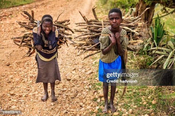 young african girls carrying brushwood, southern kenya, east africa - poverty girl stock pictures, royalty-free photos & images