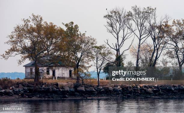 White stones mark burial sites at the Potter's field on Hart Island, October 25, 2019 in New York. - Elaine Joseph's baby daughter is one of around a...