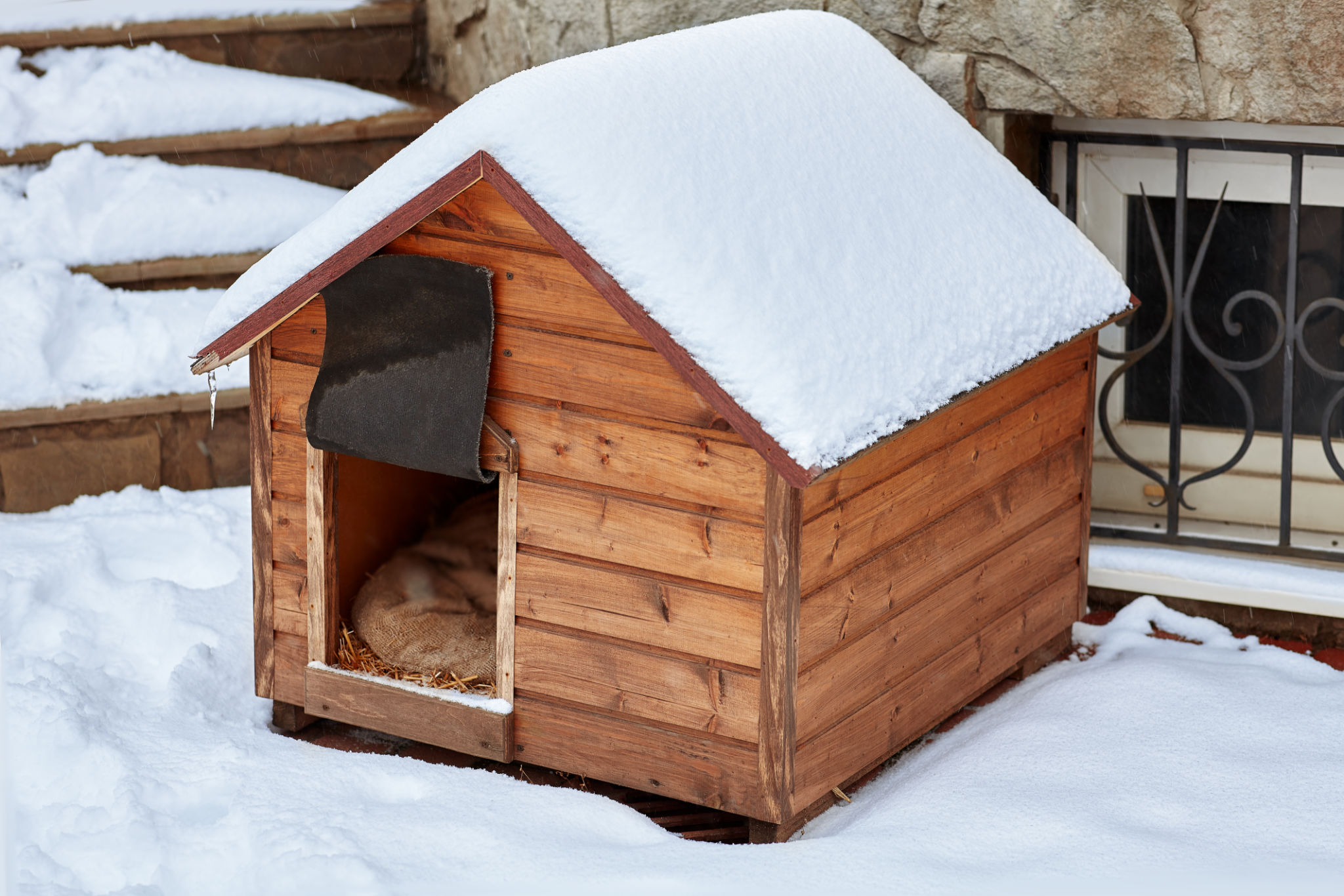 dog house winter