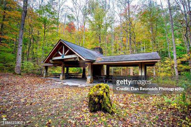 camping hiking with autumn colors - gatlinburg stock pictures, royalty-free photos & images