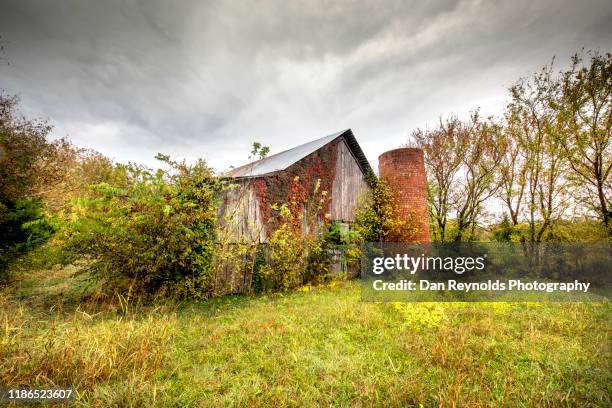 Atlanta Georgia Rural Rural Georgia Usa Photos and Premium High Res Pictures - Getty Images