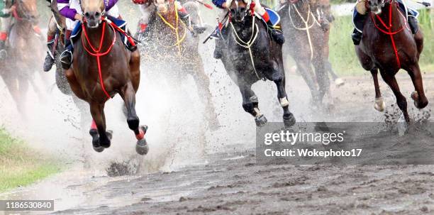 horse racing - horse racing stock pictures, royalty-free photos & images