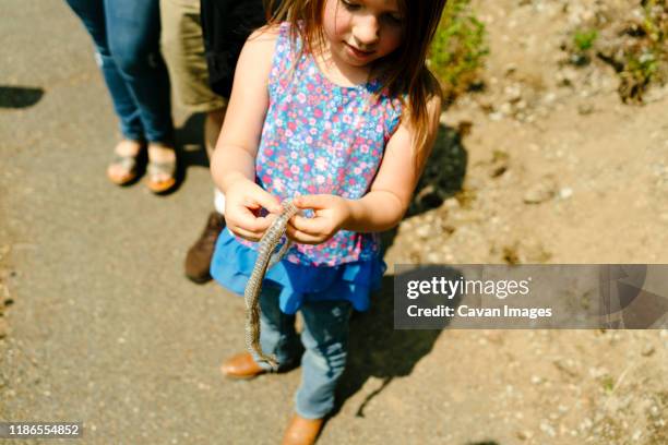 closeup of a young girl investigating a found snake skin - vervellen stockfoto's en -beelden