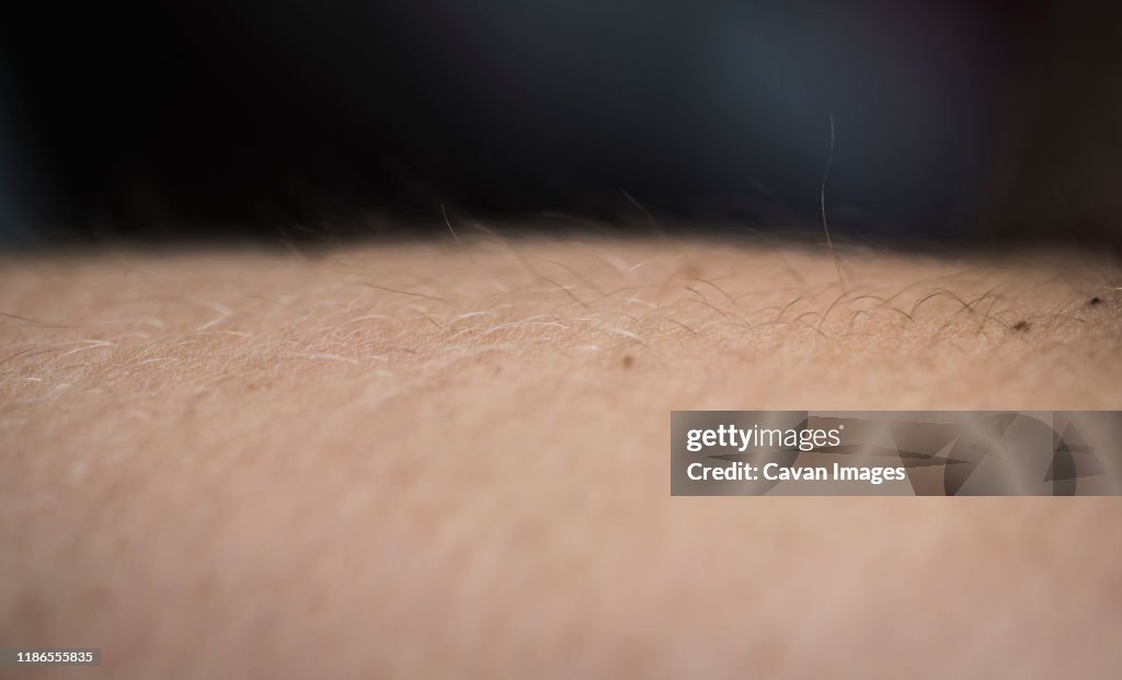 Extreme close-up of boy's hand