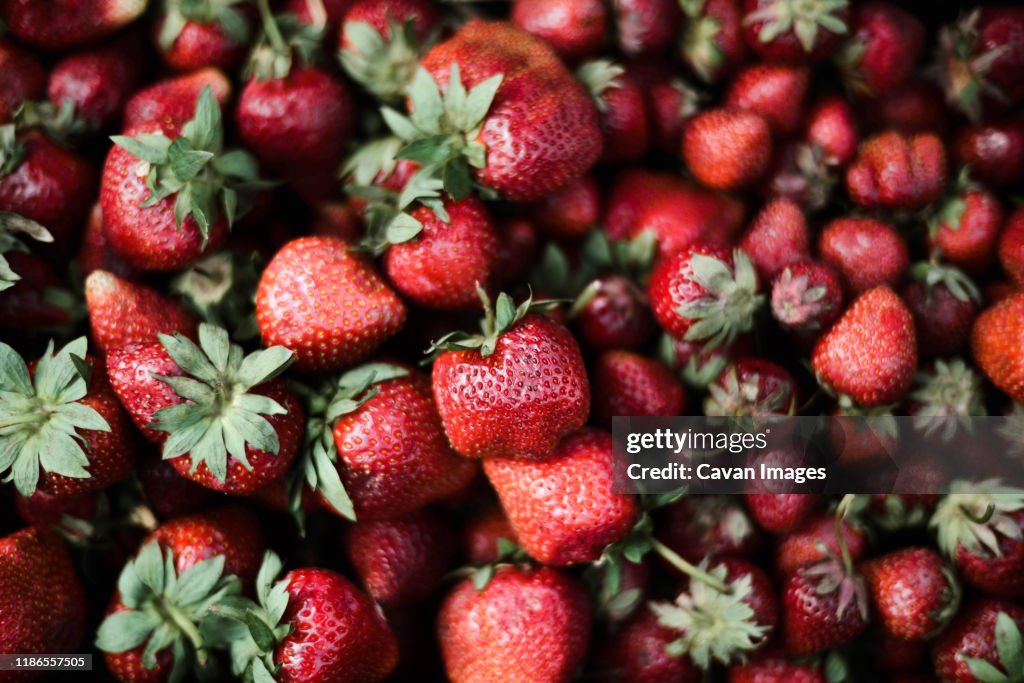 Red fresh organic strawberries.