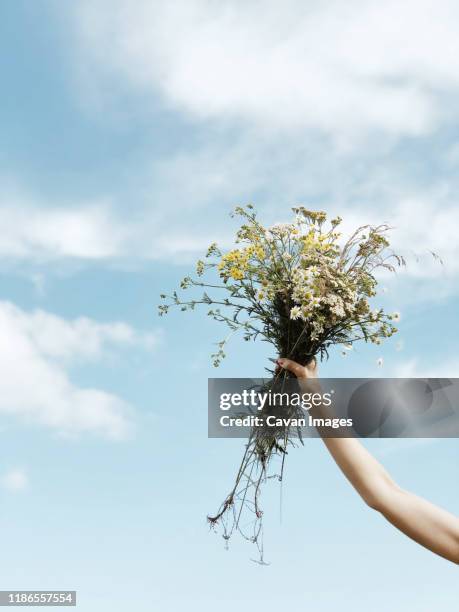 holding a bouquet of  flowers on blue sky background - woman pink background stock pictures, royalty-free photos & images