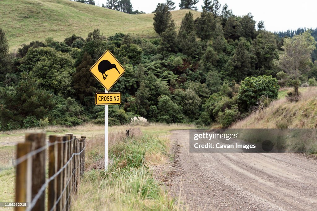 Kiwi crossing sign next to fence near a gravel road in New Zealand