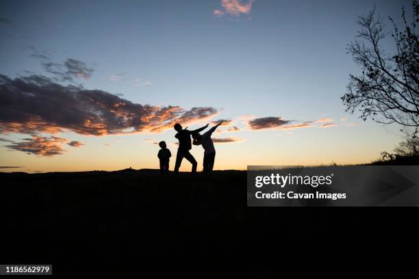 silhouette brothers gesturing while standing on field against sky during sunset - bismarck north dakota stock-fotos und bilder