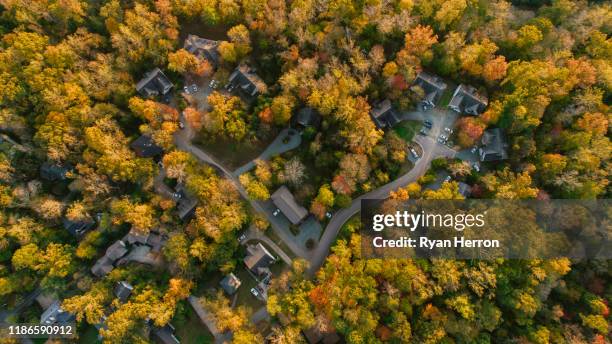 aerial of neighborhood in the fall - north carolina aerials stock pictures, royalty-free photos & images