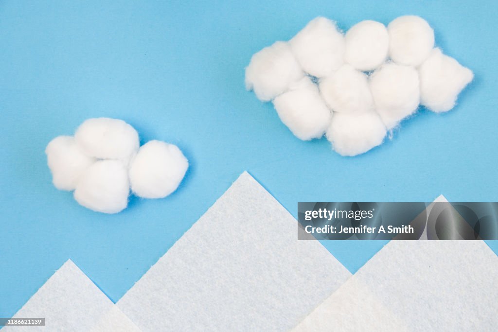 Paper Towels and Cotton Balls