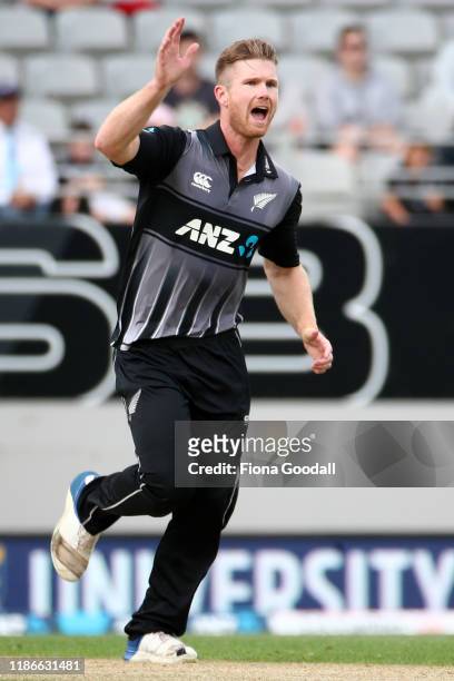Jimmy Neesham of New Zealand takes a wicket during game five of the Twenty20 International series between New Zealand and England at Eden Park on...