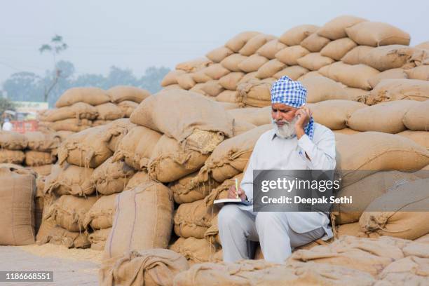 indian farmer - centeno - mercado de granos en punjab- fotos de stock - punjab india fotografías e imágenes de stock