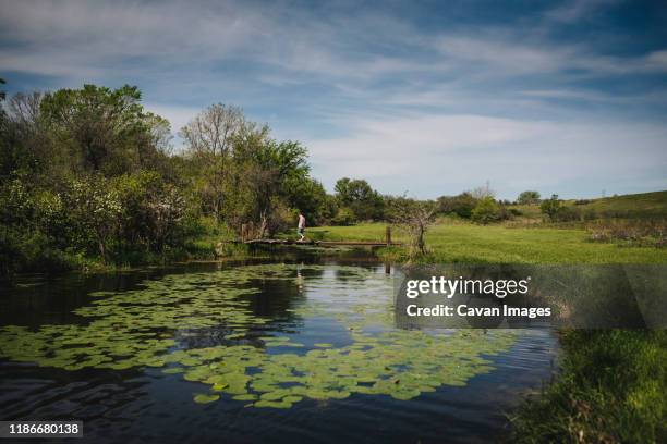 boy walks across bridge at lily pad pond in rural meadow - pond fotografías e imágenes de stock