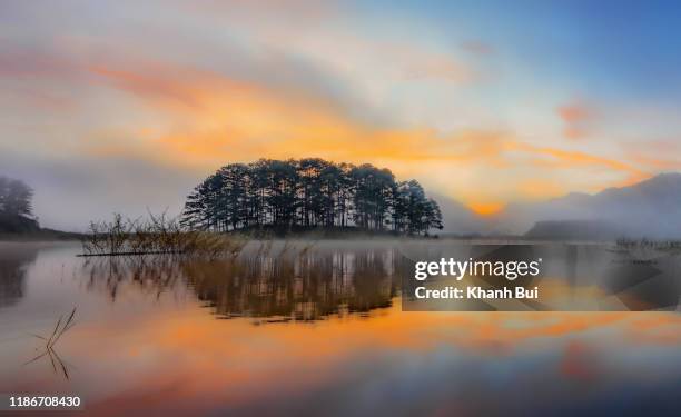beauty pine forest island reflection on the lake with green of the tree and dramatic sky at sunrise - pinus jeffreyi stock pictures, royalty-free photos & images