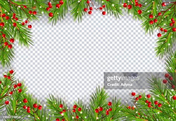 christmas frame with fir tree - berries background stock illustrations