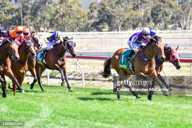 Daktari ridden by Laura Lafferty wins the Ecycle Solutions 0-58 Handicap at Stawell Racecourse on December 07, 2019 in Stawell, Australia.