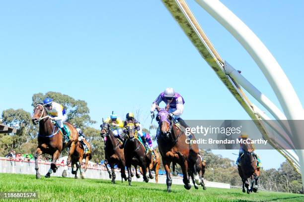 Daktari ridden by Laura Lafferty wins the Ecycle Solutions 0-58 Handicap at Stawell Racecourse on December 07, 2019 in Stawell, Australia.