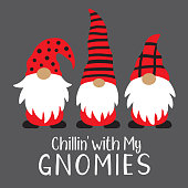 Cute Christmas Holiday Gnomes