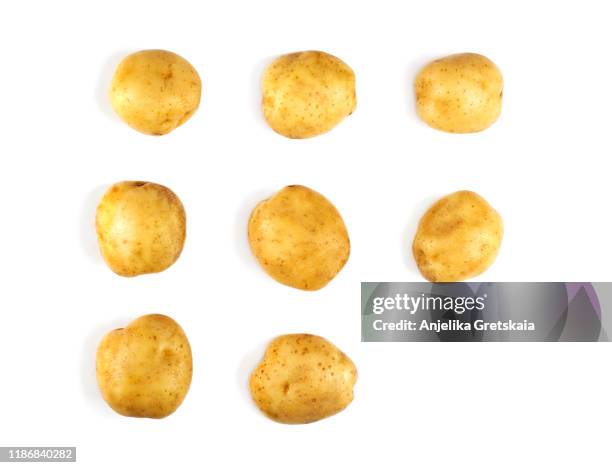 raw potatoes on white background. pattern with potatoes. vegetables abstract background - rå potatis bildbanksfoton och bilder