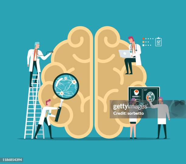 ilustraciones, imágenes clip art, dibujos animados e iconos de stock de cerebro humano - psicología - iq test