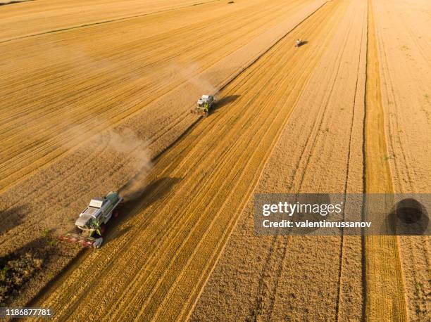 mähdrescher auf dem feld - monoculture stock-fotos und bilder