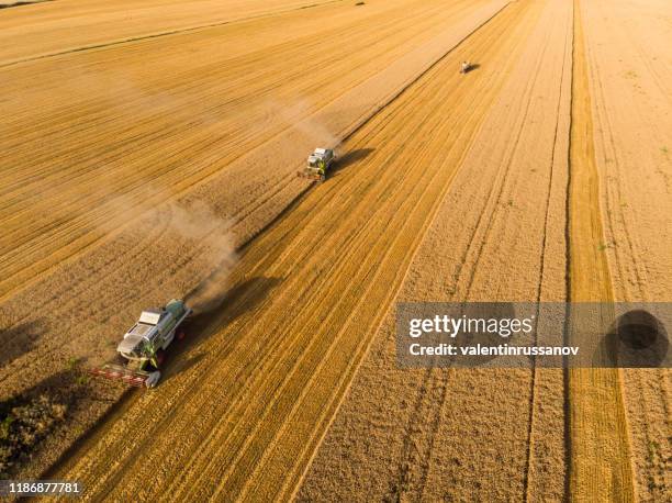 combine harvester on field - monoculture stock pictures, royalty-free photos & images