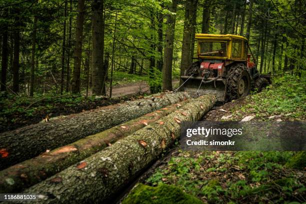 skidder ziehen protokolle - forstwirtschaft stock-fotos und bilder