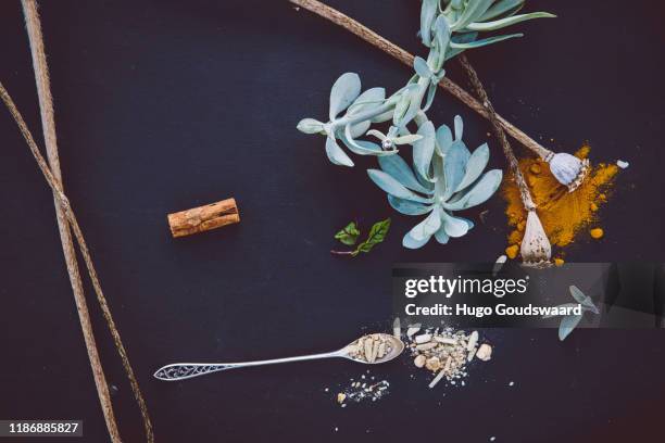 top-down view with organic herbs and cbd related natural medicine such as turmeric, ginger, cinnamon, aloe vera and poppy seeds. - ashwagandha stockfoto's en -beelden