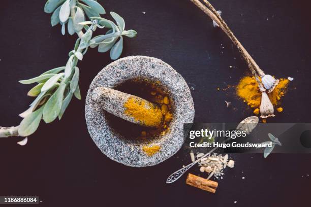 top-down view with organic herbs and cbd related natural medicine such as turmeric, ginger, cinnamon, aloe vera and poppy seeds. - ashwagandha stockfoto's en -beelden