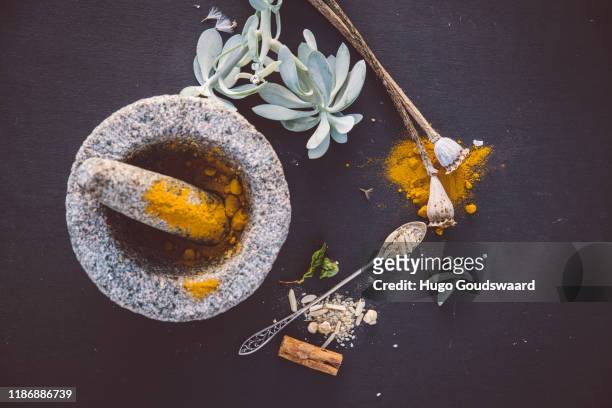 top-down view with organic herbs and cbd related natural medicine such as turmeric, ginger, cinnamon, aloe vera and poppy seeds. - ashwagandha stock-fotos und bilder
