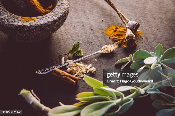 top-down view with organic herbs and cbd related natural medicine such as turmeric, ginger, cinnamon, aloe vera and poppy seeds. - ashwagandha stock-fotos und bilder