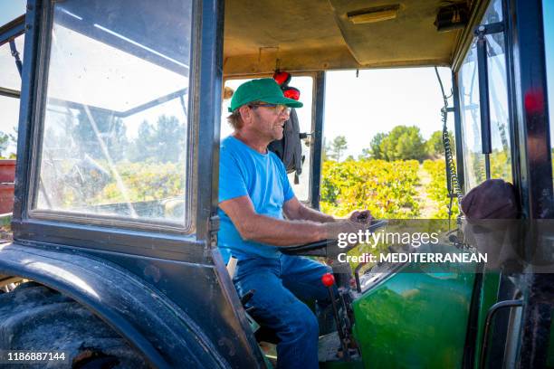 vigneron dans le tracteur de conduite de vendange dans le vignoble - agriculteur conducteur tracteur photos et images de collection