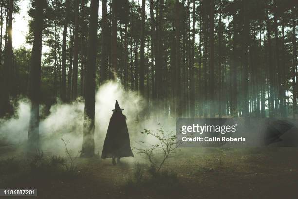 spooky witch - bruja fotografías e imágenes de stock