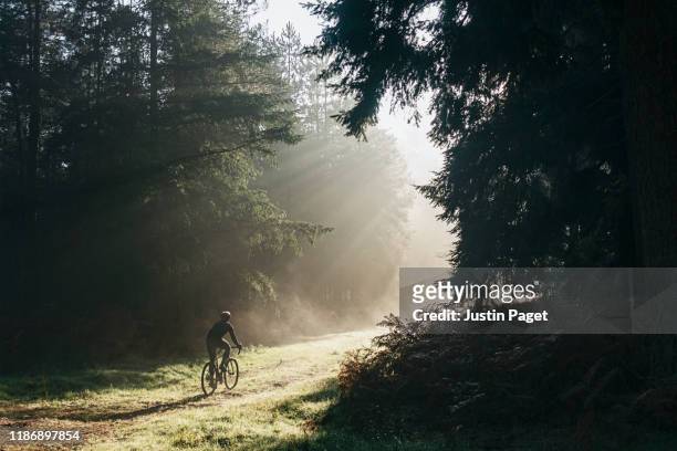 cyclist in early morning forest - landweg stockfoto's en -beelden