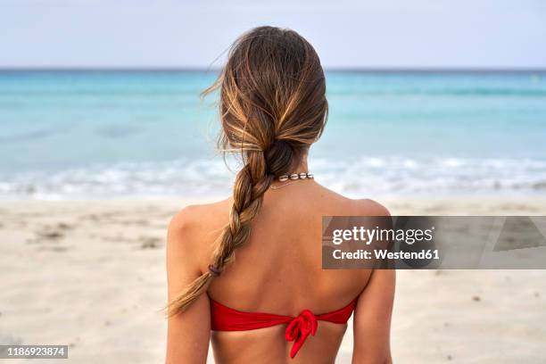 rear view of a young woman on a beach - hairstyle fotografías e imágenes de stock