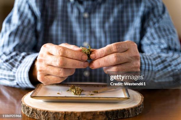 senior man at home rolling marihuana joint - marijuana joint fotografías e imágenes de stock