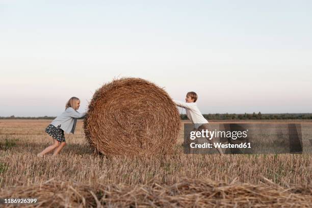 two kids rolling a haystack on the field - stubble stock-fotos und bilder