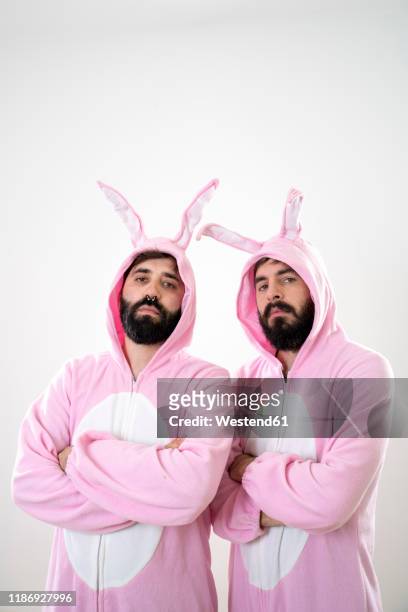 two male friends with rabbit costumes in front of white background - man in costume stock pictures, royalty-free photos & images