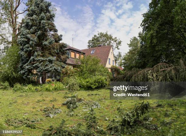 storm damage in a garden of a family home - beaten up stock pictures, royalty-free photos & images